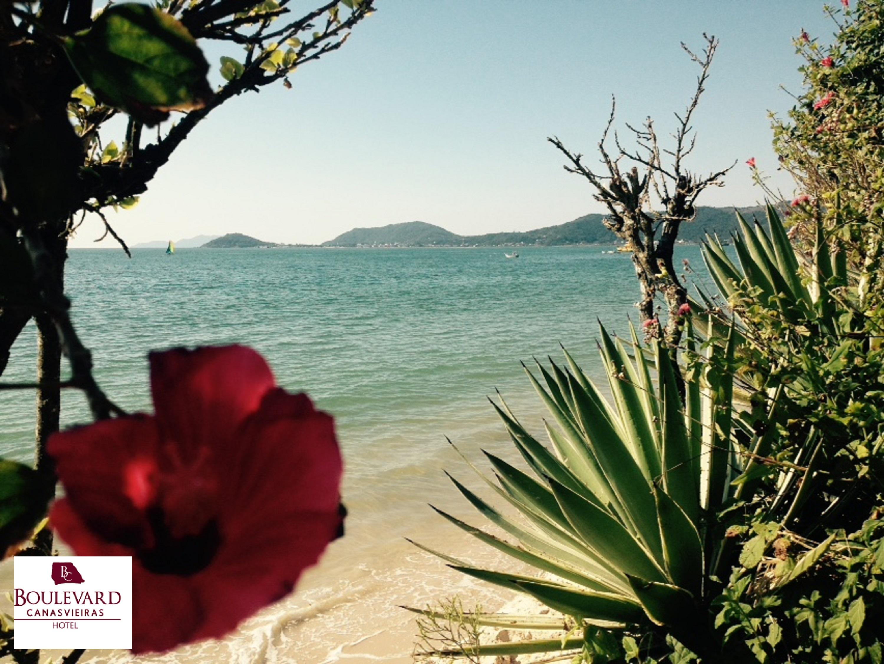 Boulevard Beach Canasvieiras Hotel Florianópolis Dış mekan fotoğraf